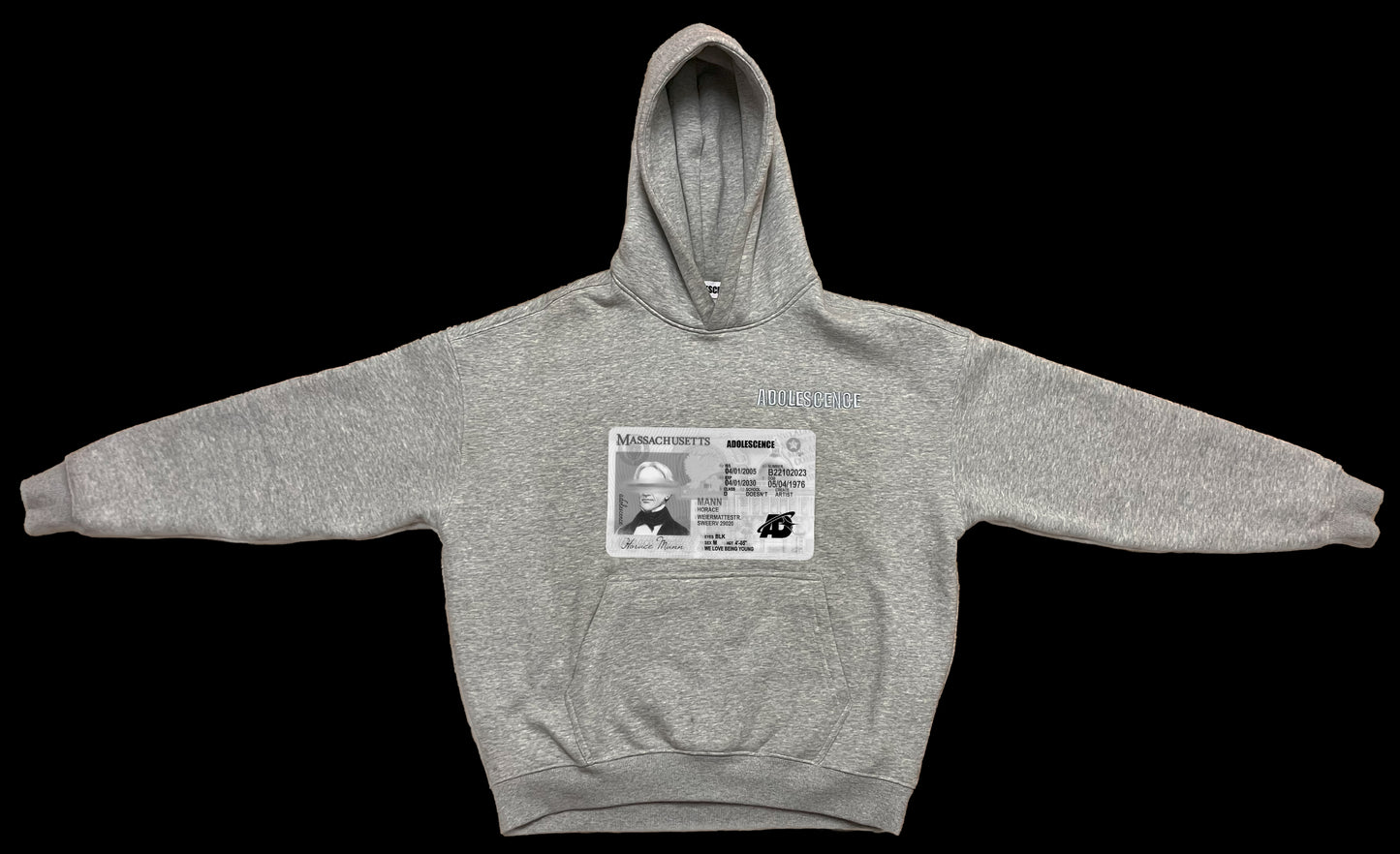 SCHOOL HOODIE (grey)