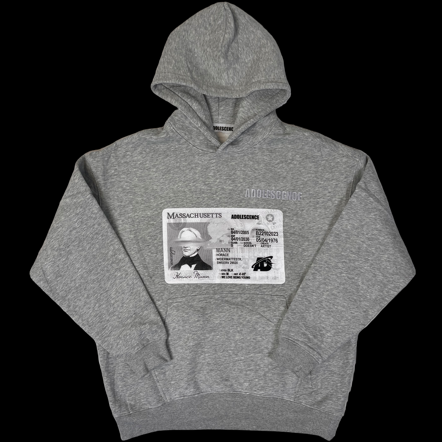 SCHOOL HOODIE (grey)