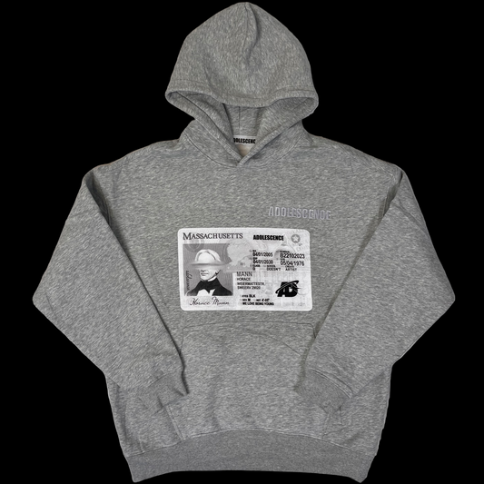 SCHOOL HOODIE (grey)