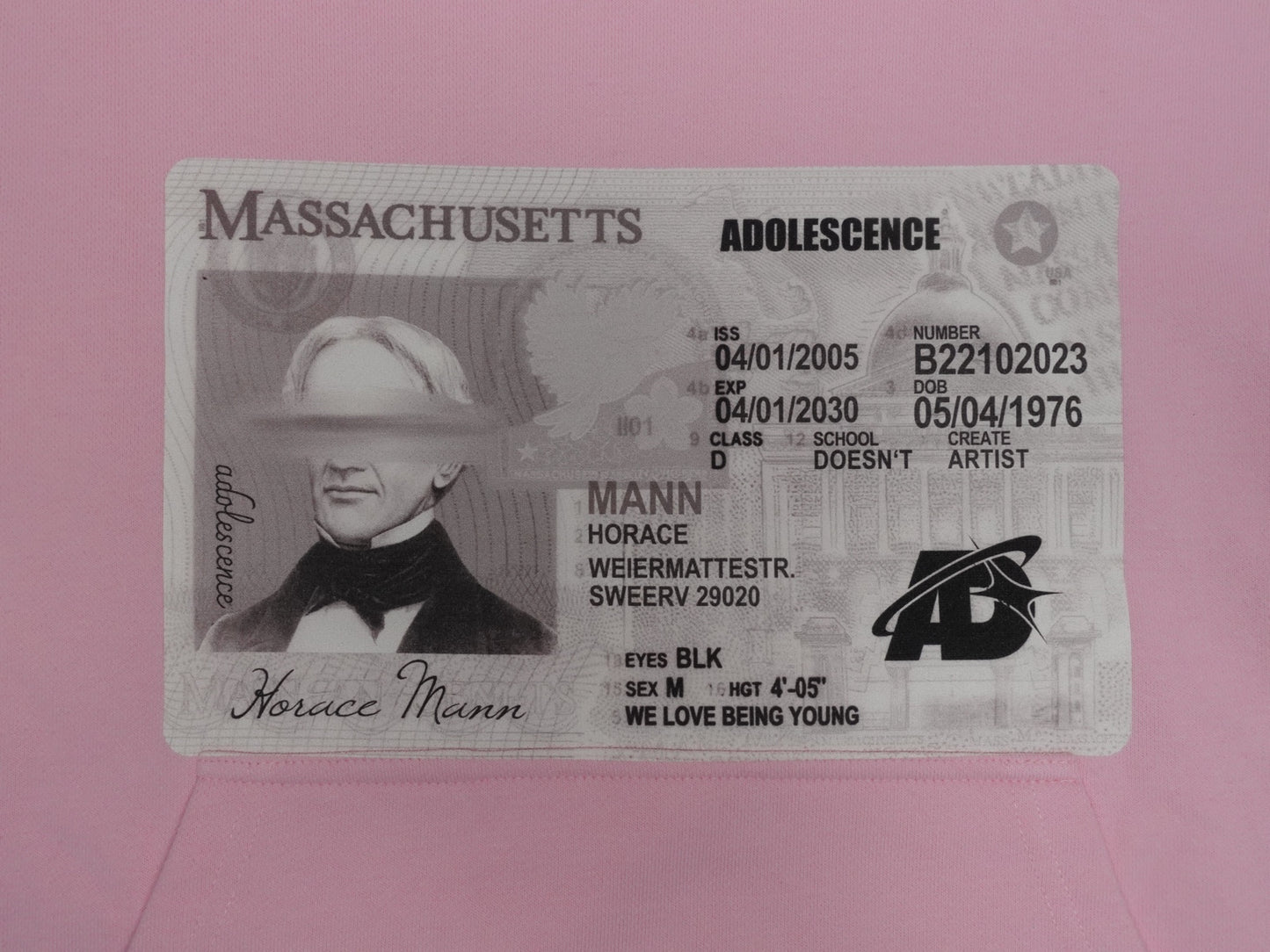 SCHOOL HOODIE (pink)